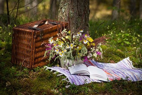 Kevät picnic Hyvölänniemessä