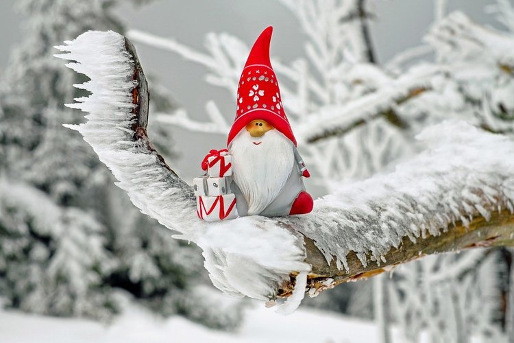 Perheleiri Hyvölänniemessä Perheleiri Hyvölänniemessä